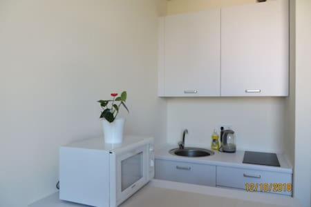 Smart-House Smart-Kvartira S Kukhnei. Kyiv Eksteriør billede